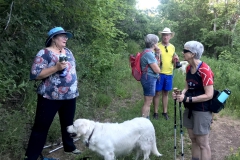 Hiking-Hike-chat
